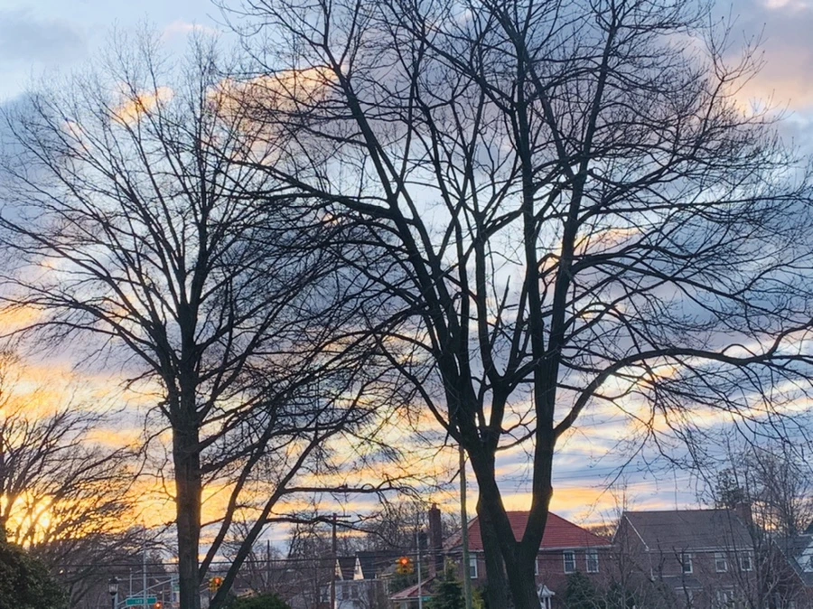 IMG_5362.jpg?type=w966