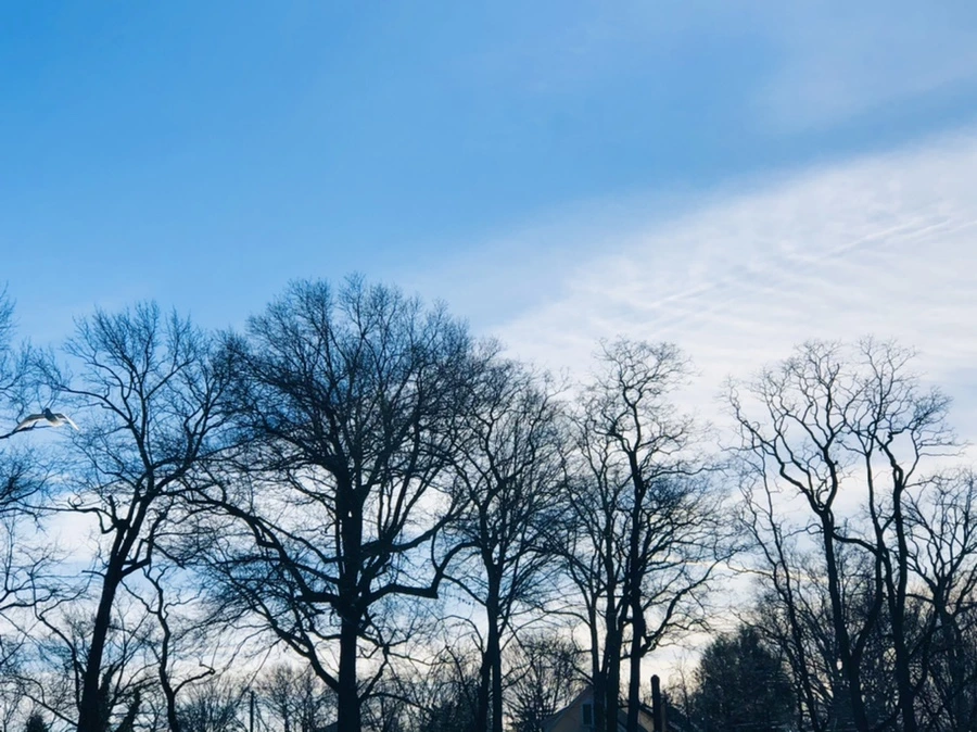 IMG_5402.jpg?type=w966