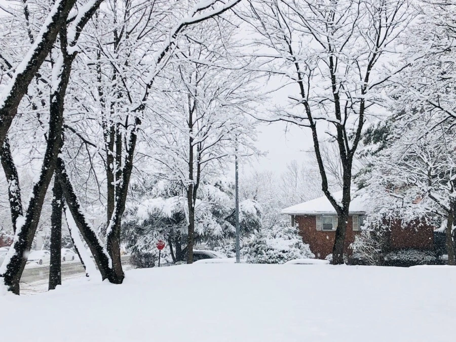 IMG_4024.jpg?type=w966