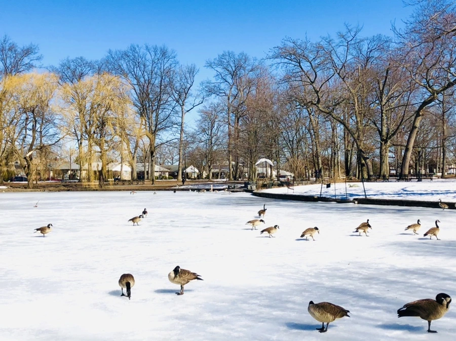 IMG_4922.jpg?type=w966