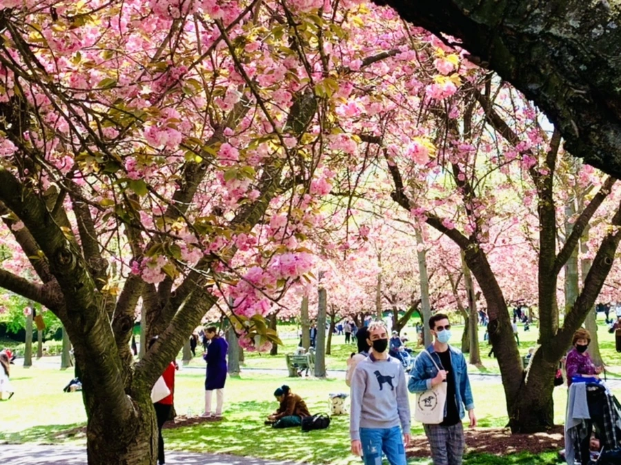 IMG_6416.jpg?type=w966