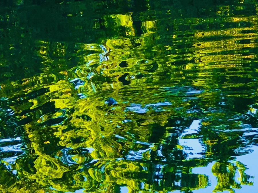 IMG_2618.jpg?type=w966