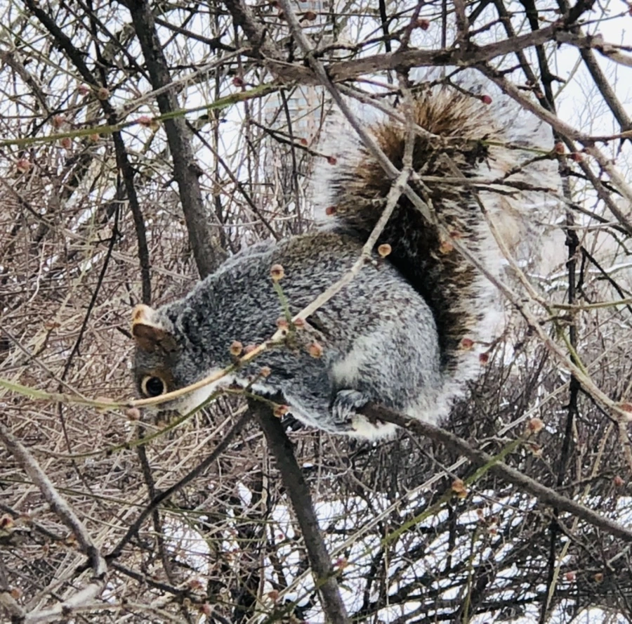 IMG_9578.jpg?type=w966