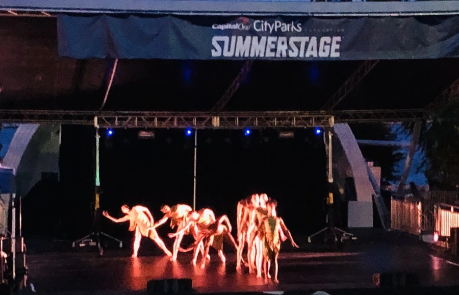 IMG_8389.jpg?type=w966