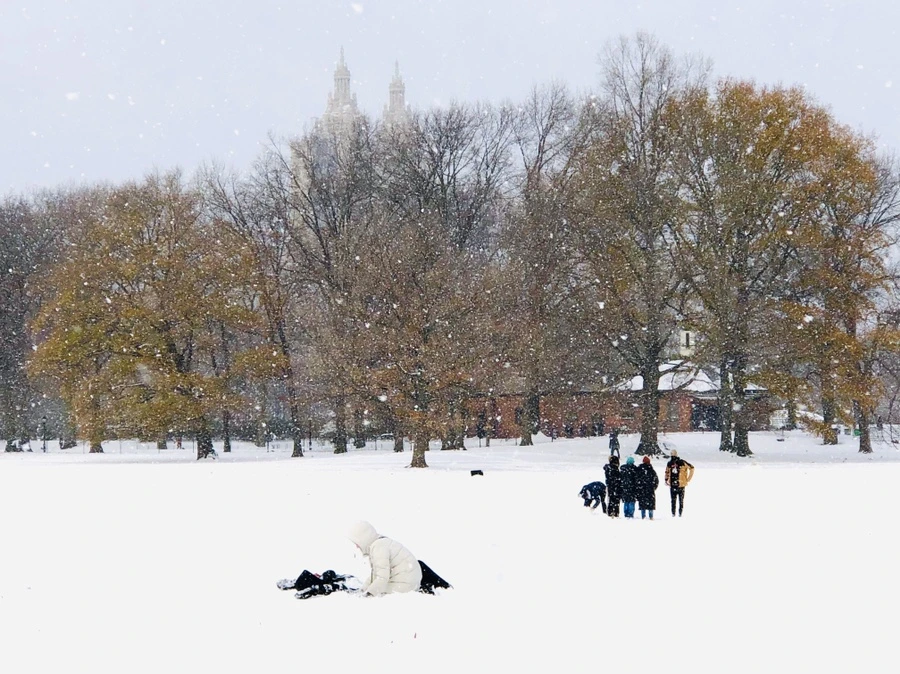 IMG_7146.jpg?type=w966