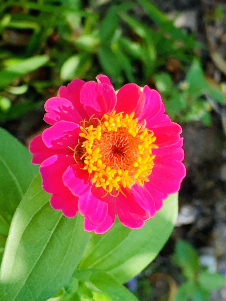 IMG_8729.jpg?type=w966