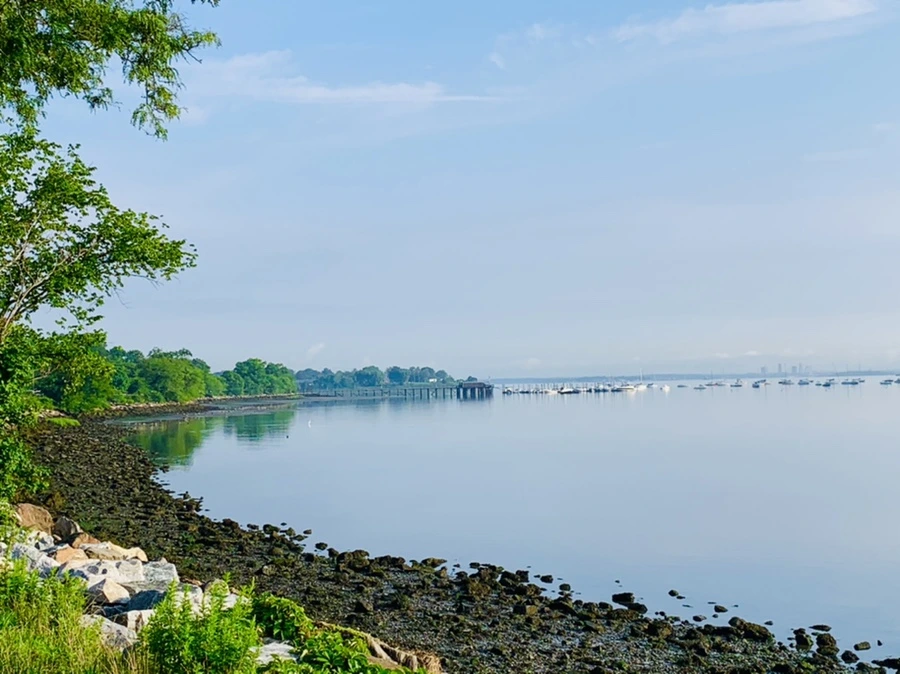 IMG_4355.jpg?type=w966