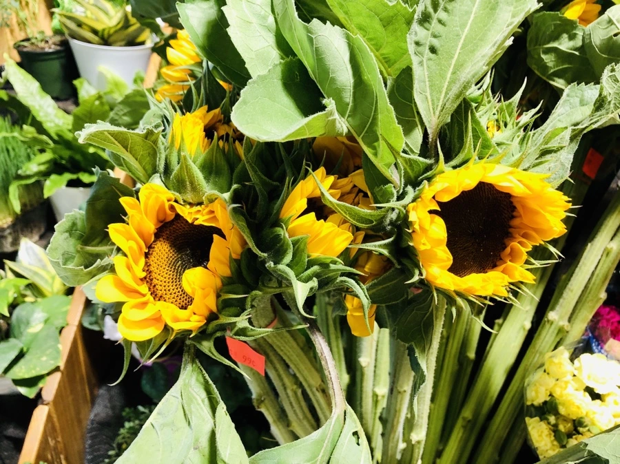 IMG_0257.jpg?type=w966