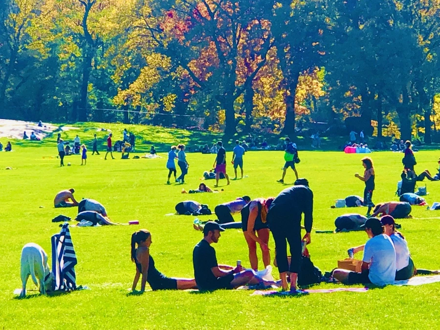 IMG_3832.jpg?type=w966