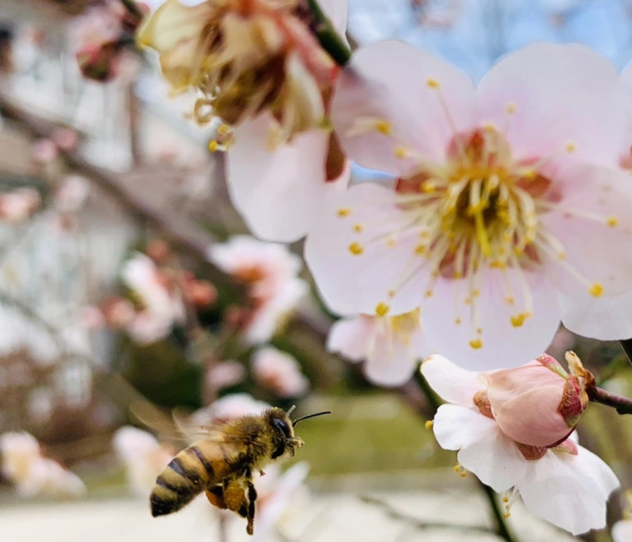 IMG_0491.jpg?type=w966