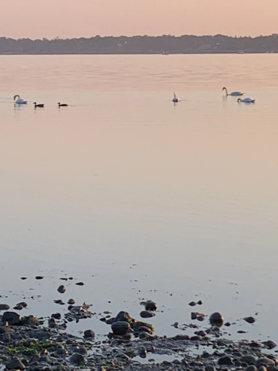 IMG_0202.jpg?type=w966