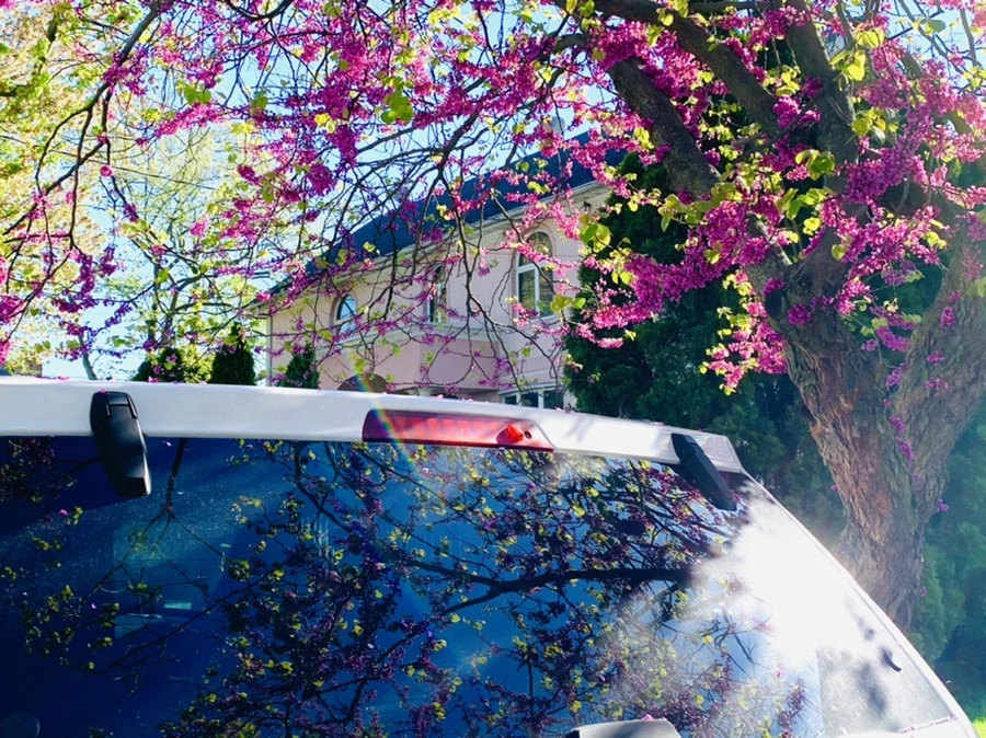 IMG_0426.jpg?type=w966