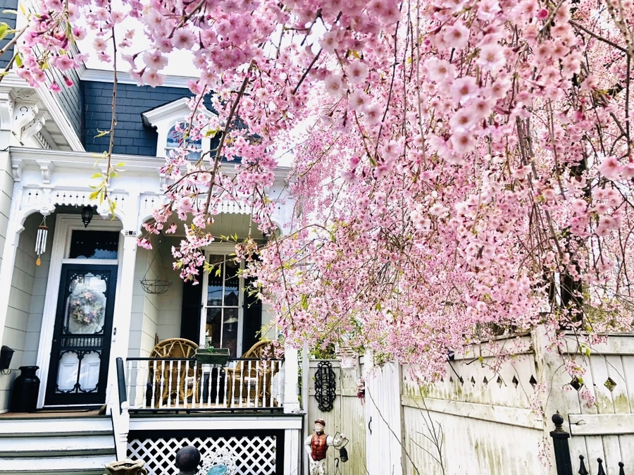 IMG_7082.jpg?type=w966