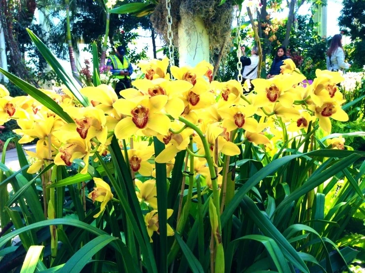 IMG_2925.JPG?type=w2