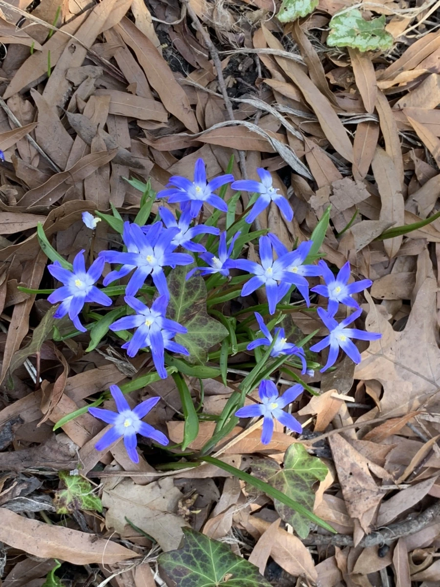 IMG_5788.jpg?type=w966