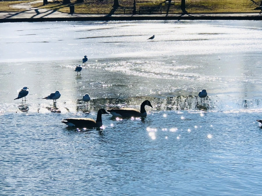 IMG_6854.jpg?type=w966