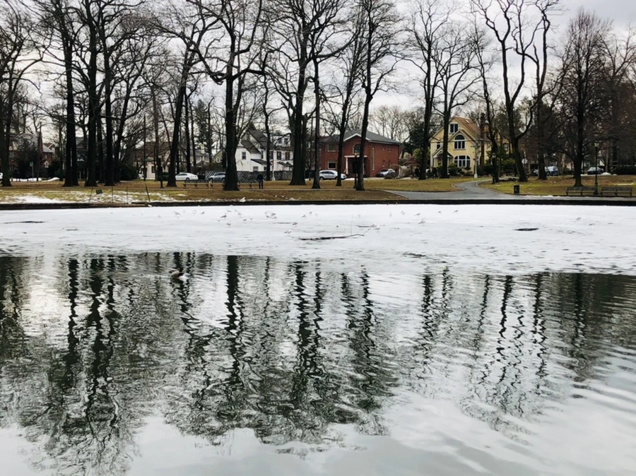 IMG_6450.jpg?type=w966