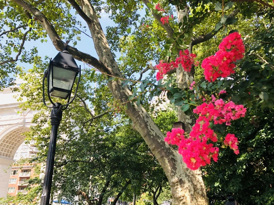 IMG_6371.jpg?type=w966