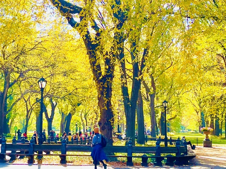 IMG_1612.jpg?type=w966