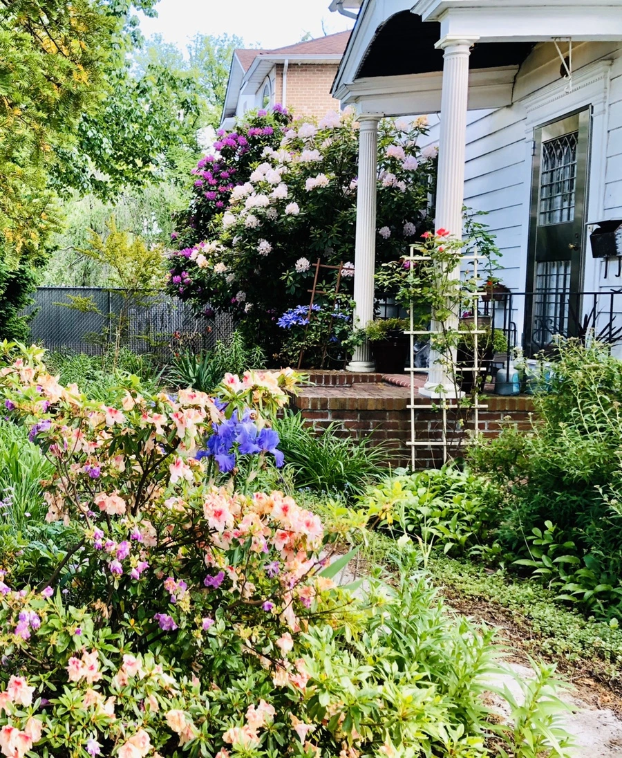 IMG_7653.jpg?type=w966