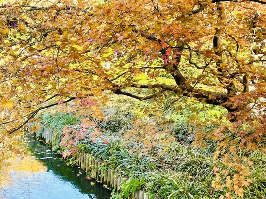 IMG_3043.jpg?type=w966