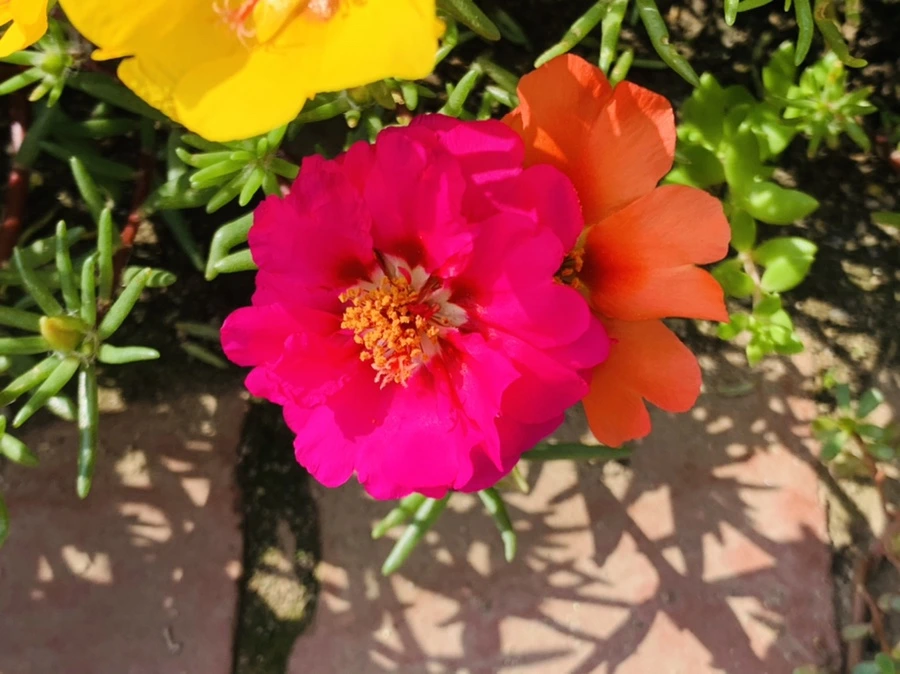 IMG_6680.jpg?type=w966