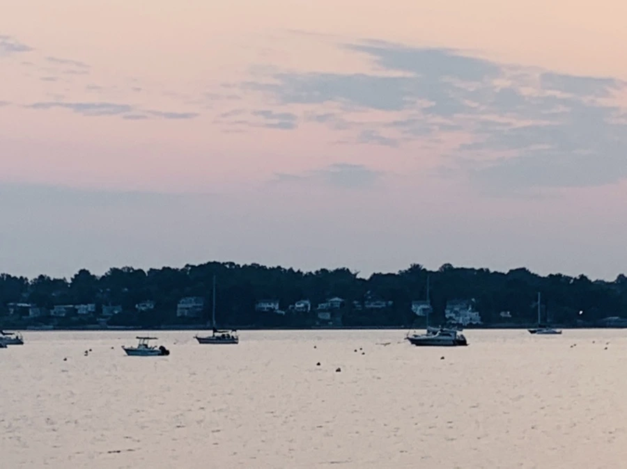 IMG_2390.jpg?type=w966