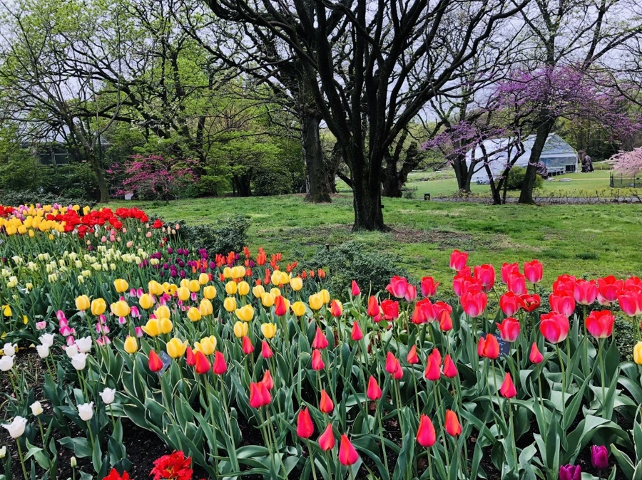 IMG_3716.jpg?type=w966