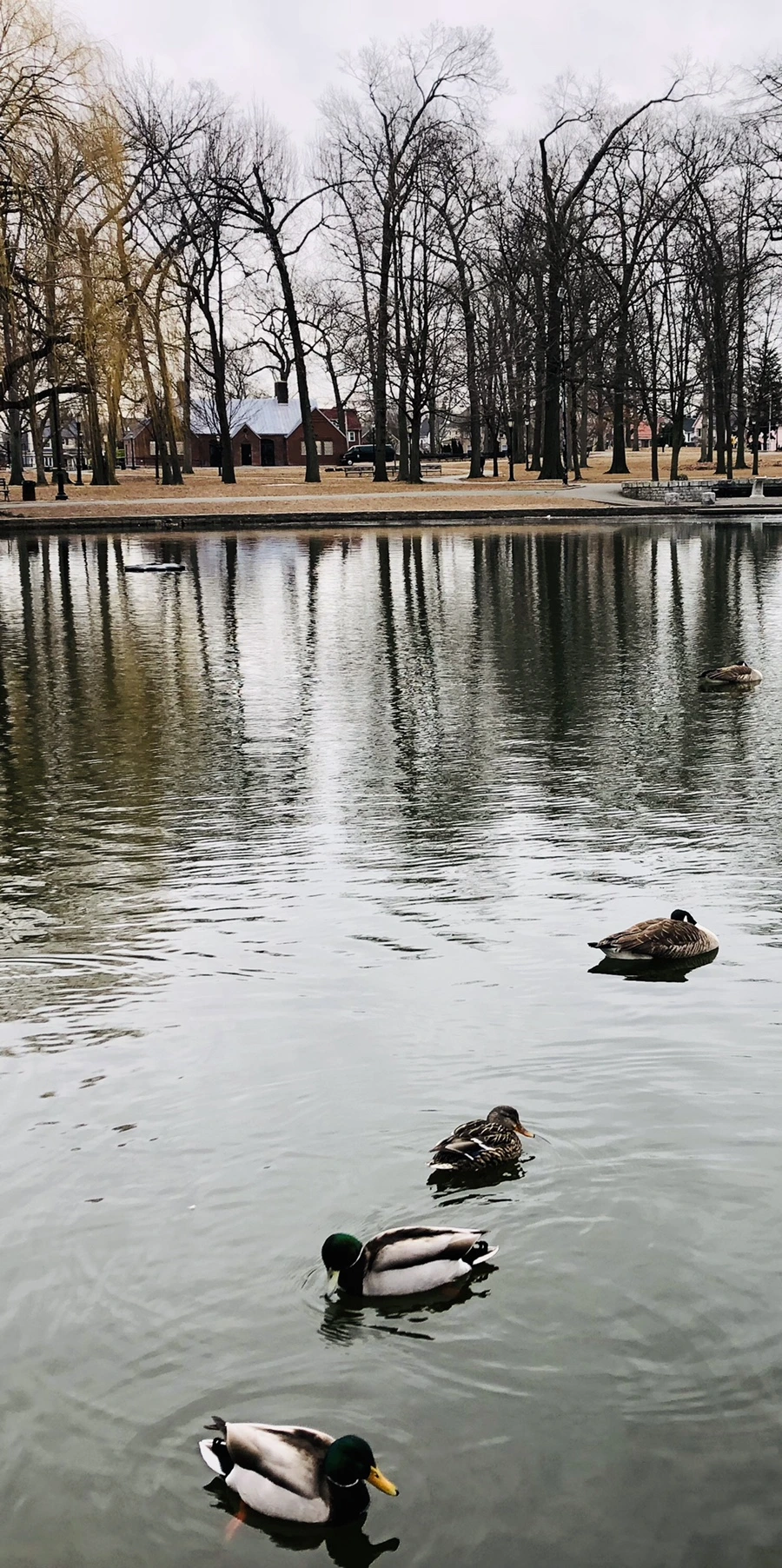 IMG_9519.jpg?type=w966