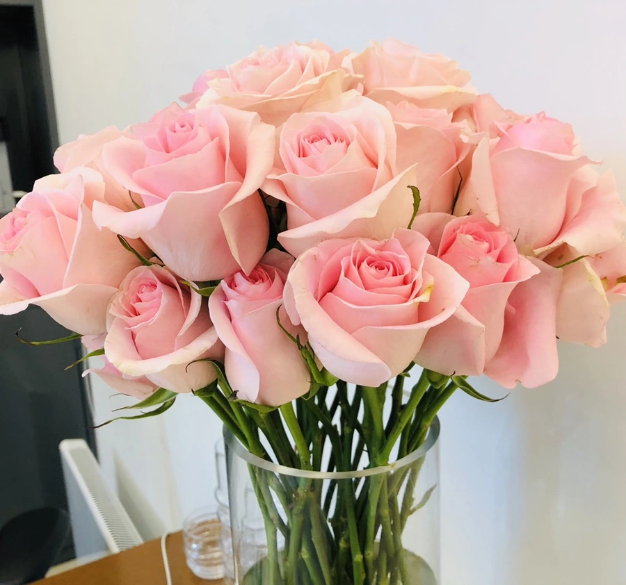 IMG_9453.jpg?type=w966