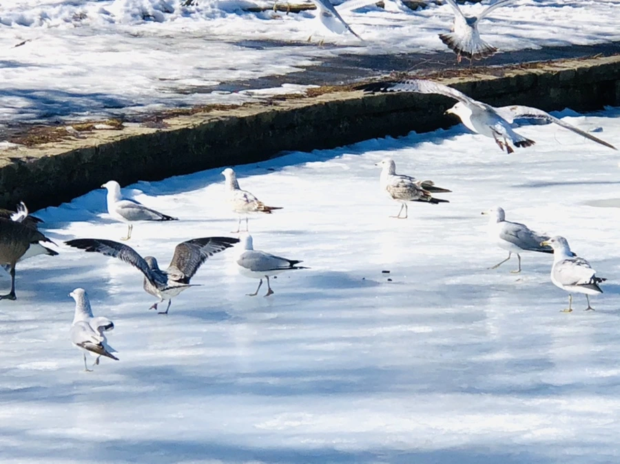 IMG_4796.jpg?type=w966