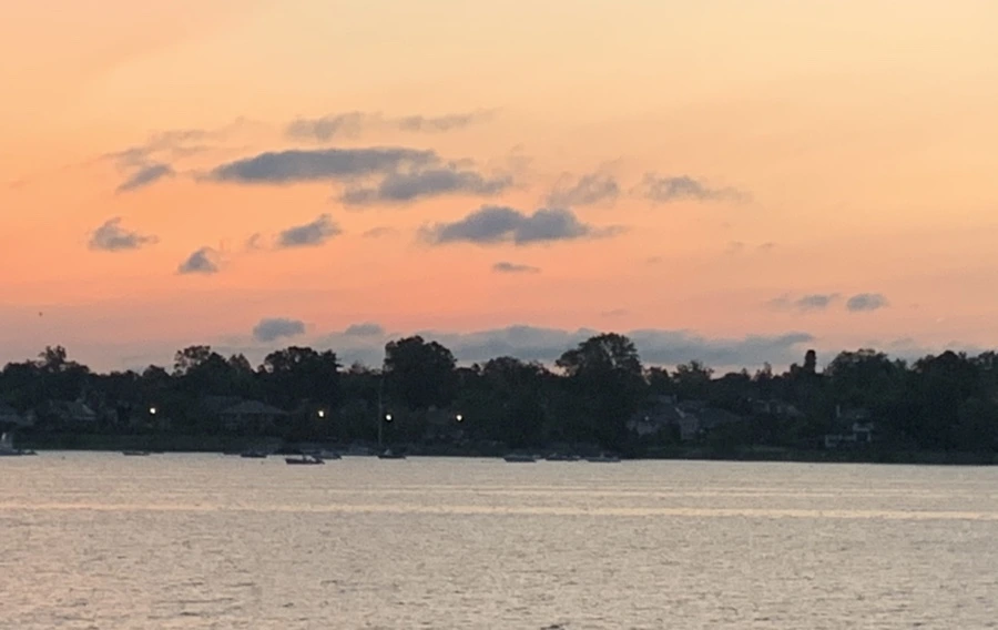 IMG_5331.jpg?type=w966