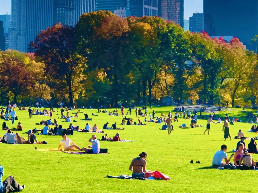 IMG_3947.jpg?type=w966