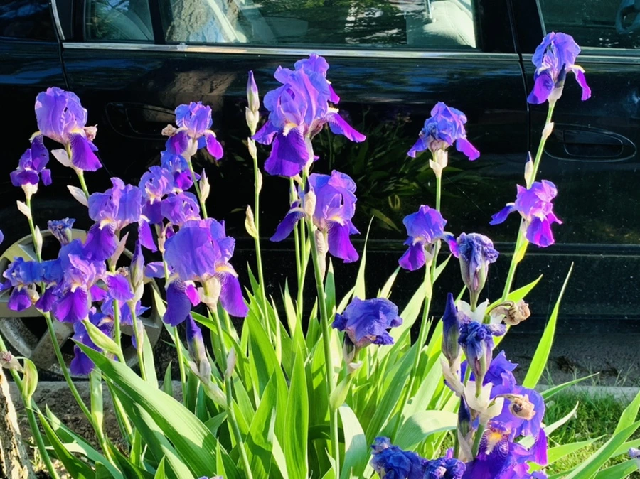 IMG_3439.jpg?type=w966