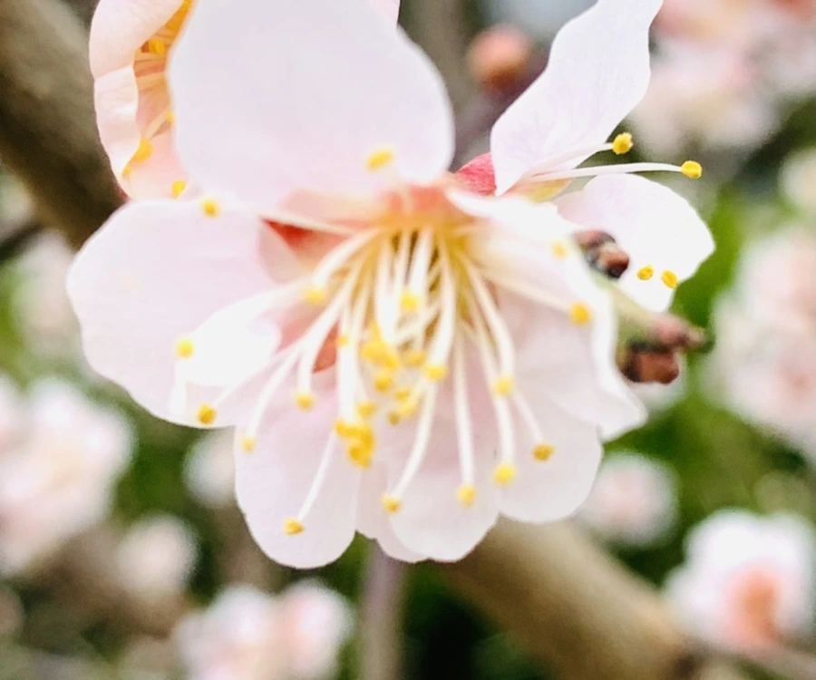 IMG_1684.jpg?type=w966