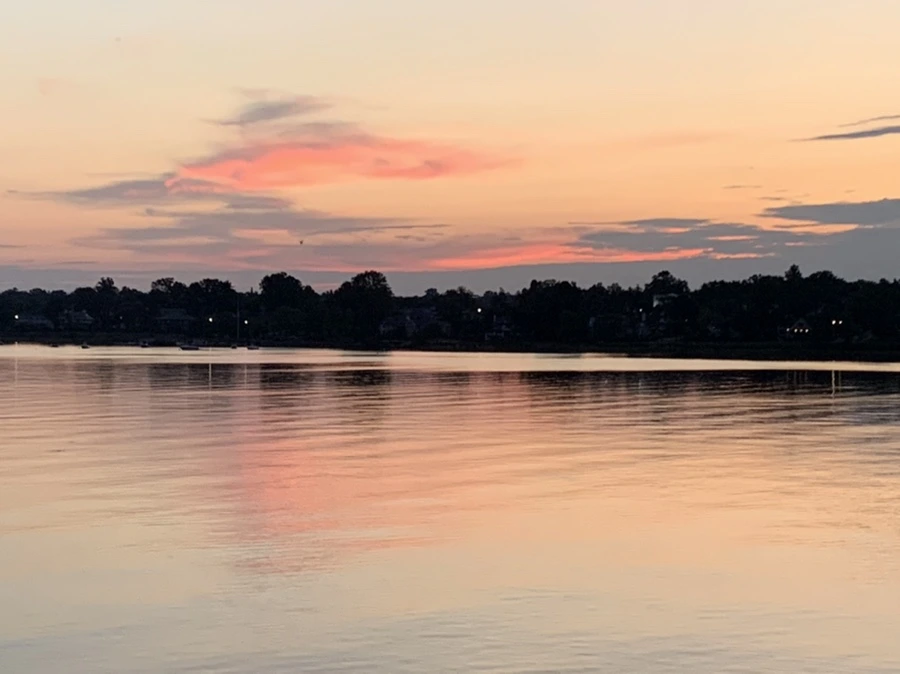 IMG_1151.jpg?type=w966