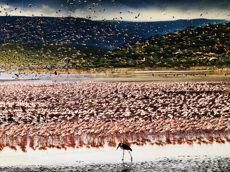 IMG_1305.jpg?type=w966