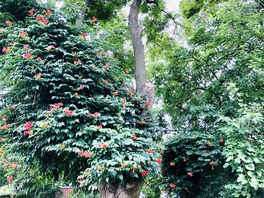 IMG_2034.jpg?type=w966