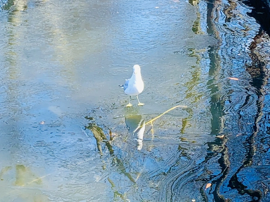 IMG_8280.jpg?type=w966