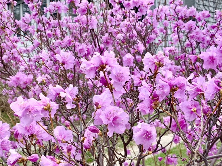 IMG_6752.jpg?type=w966