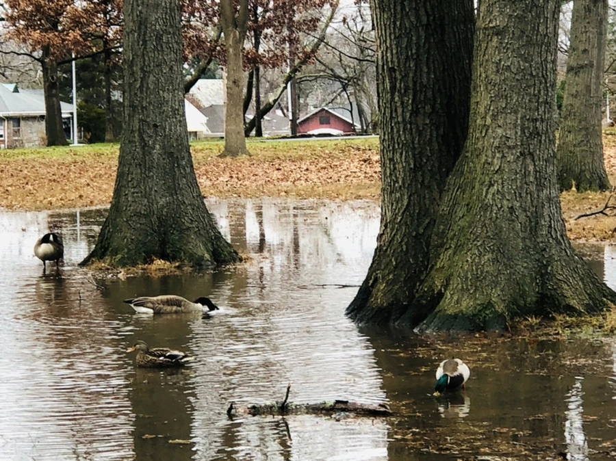 IMG_9500.jpg?type=w966