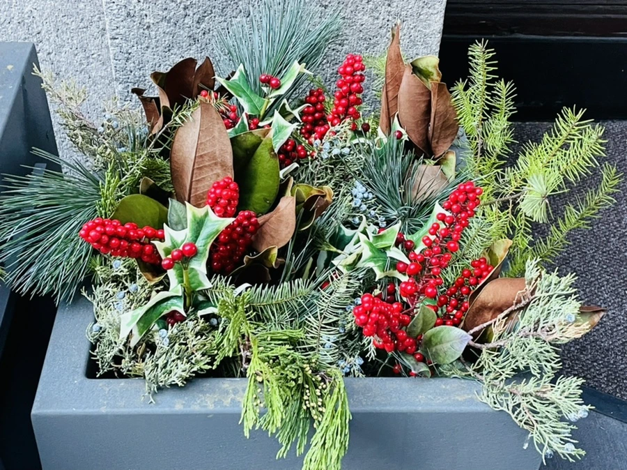 IMG_6696.jpg?type=w966