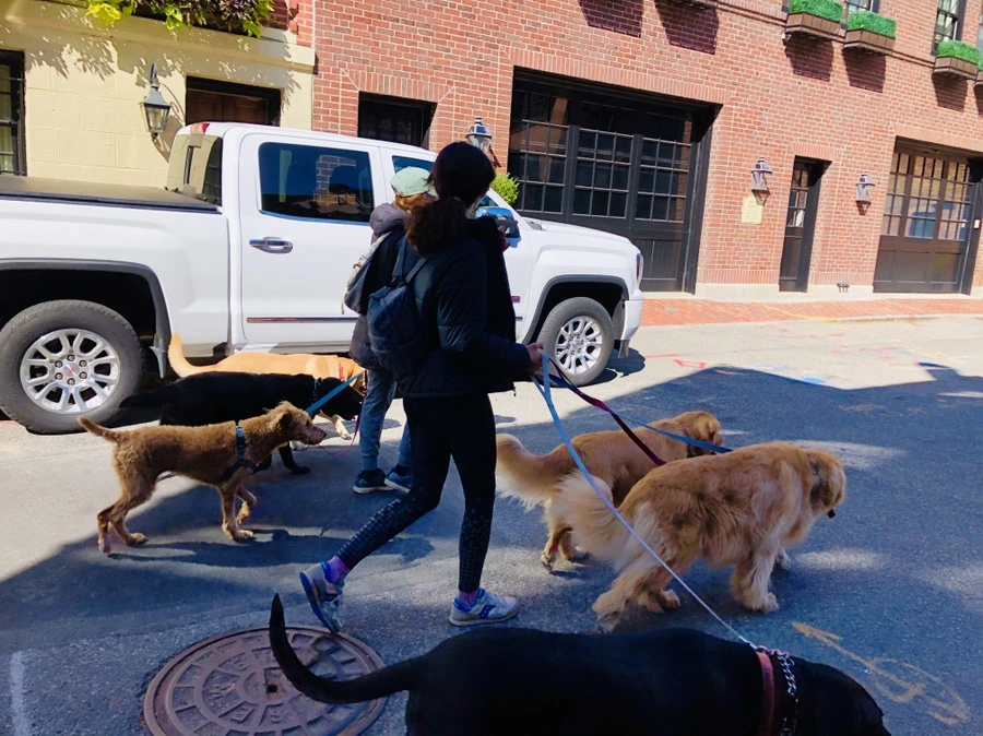 IMG_0457.jpg?type=w966