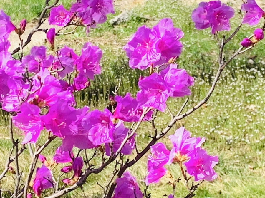 IMG_5539.jpg?type=w966