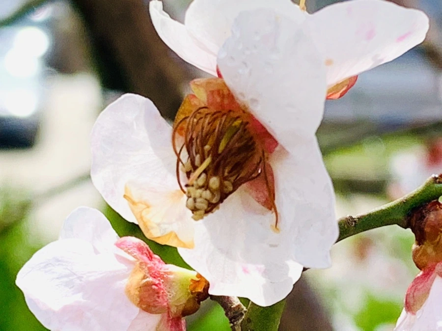 IMG_3983.jpg?type=w966