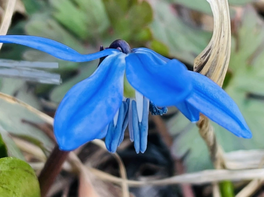 IMG_4246.jpg?type=w966