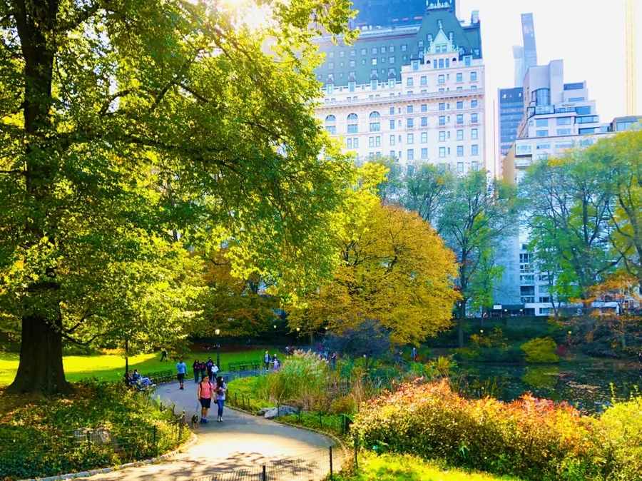 IMG_3770.jpg?type=w966