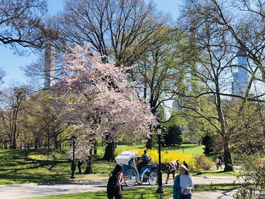 IMG_3141.jpg?type=w966