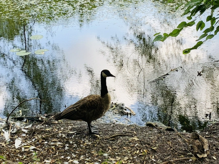 IMG_7514.jpg?type=w966