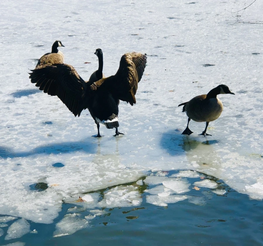 IMG_5324.jpg?type=w966